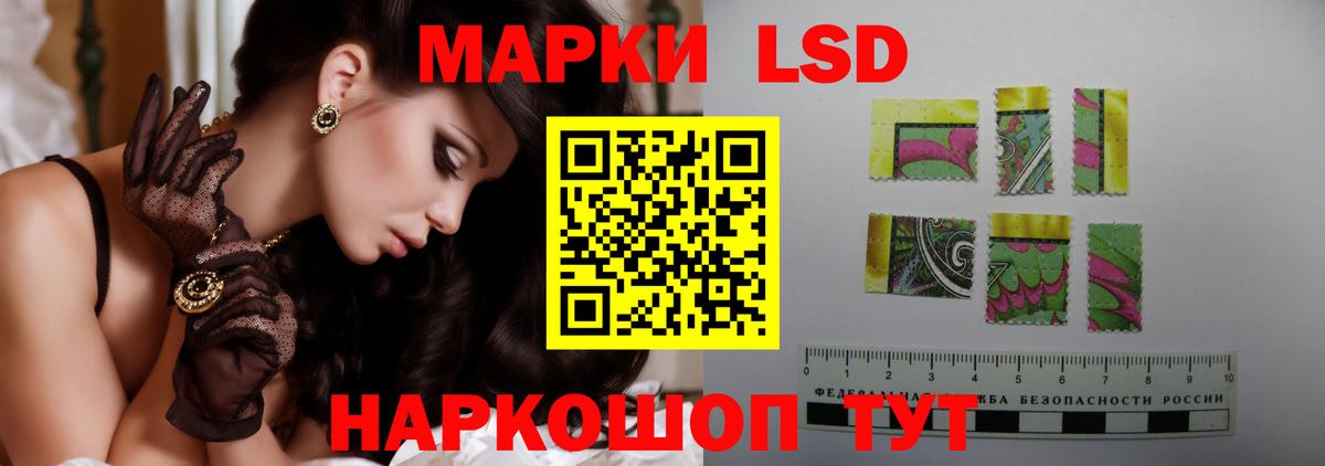 Камышин  ЛСД экстази ecstasy  Вход с VPN  Лсд 25 экстази  ЛСД экстази кислота 