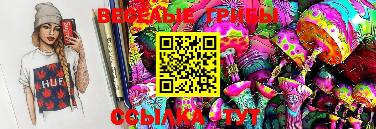 Камышин  где купить наркоту  Вход с VPN  Галлюциногенные грибы GOLDEN TEACHER 