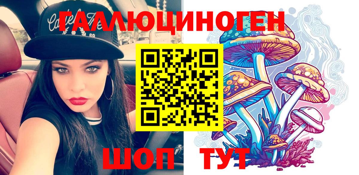 Галлюциногенные грибы Psilocybine cubensis Камышин